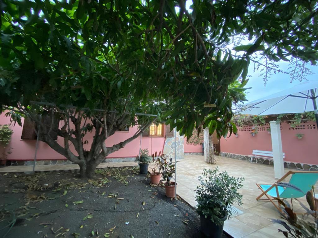 Casa Pepa Y Argeo Villa Villa de Mazo Bagian luar foto